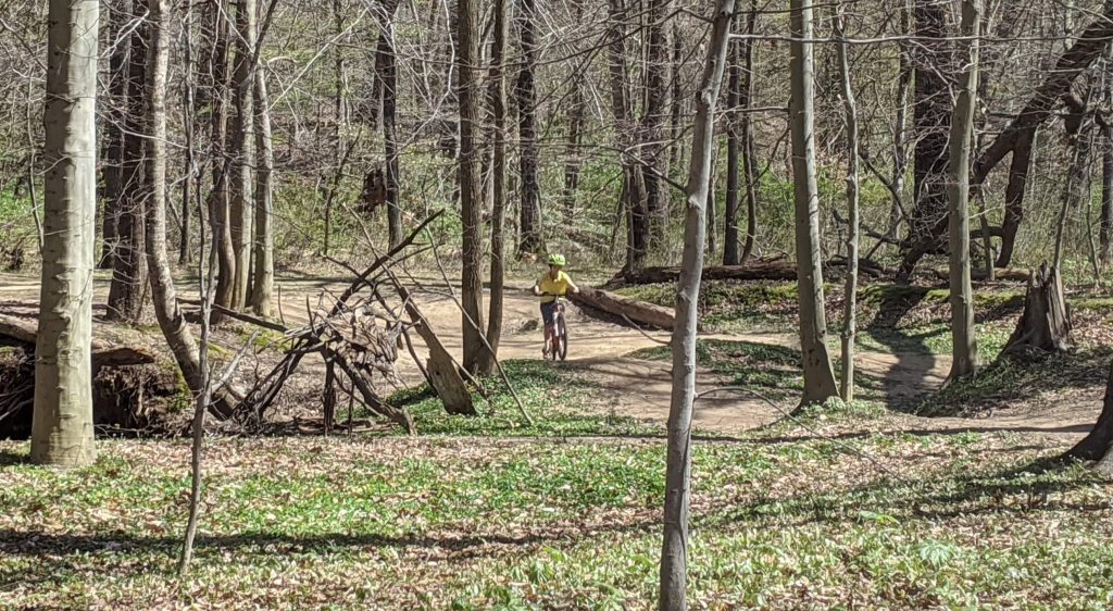 If you're looking to put some air between your mountain bike and Washington, DC, here are a few good jumps at Wakefield.